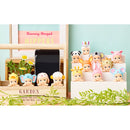 Sonny Angel Hippers Series