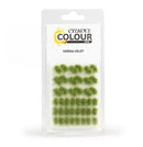 Citadel Basing Material Colour Tufts: Verdia Veldt