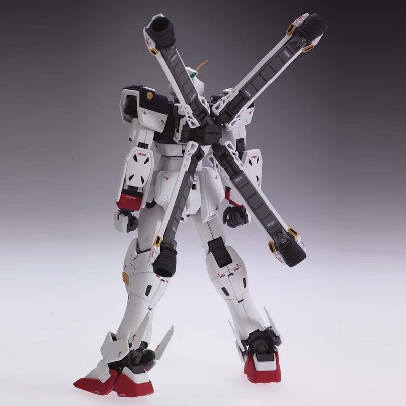 MG XM-X1 Crossbone Gundam X-1 Ver. KA