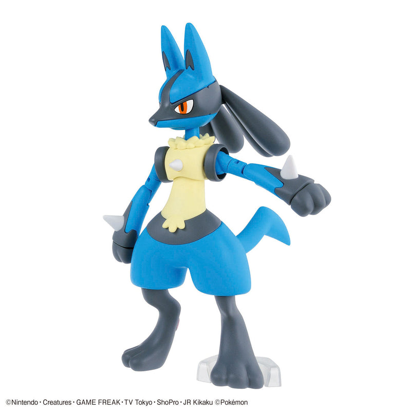 Pokemon Model Kit - Riolu & Lucario